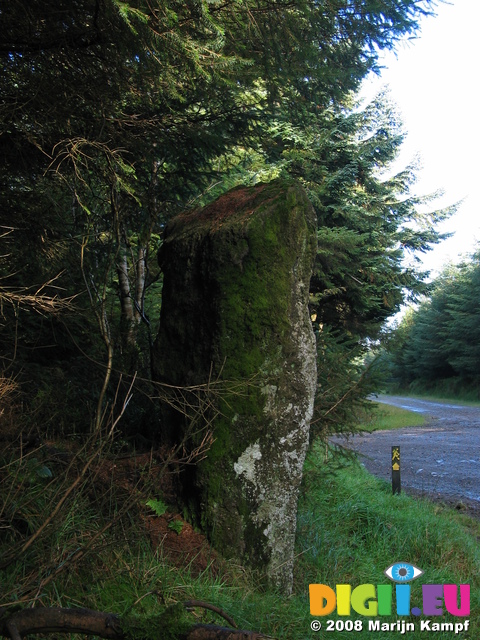 24087 Standing stone